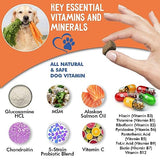 ZenBites 12-in-1 Dog Vitamins & Probiotics 120 Soft Chews - Organic Multivitamin with Glucosamine for Dogs - Joint Support Supplement for Dogs of All Ages,Sizes, & Breeds,Supports Skin,Heart,Immunity