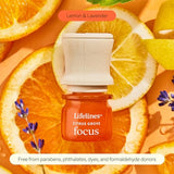 Lifelines Scent-Infused Tactile Grounding Stones 2-Pack & Essential Oil Set, Portable Essential Oil Diffusers with Individual Citrus Grove: Focus Essential Oil Blend 3 ML Included