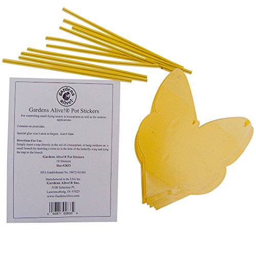 Gardens Alive! Pot Stickers for Small Flying Insects (Pkg of 10)