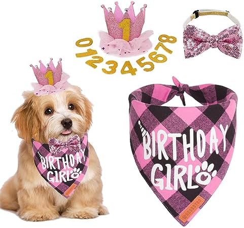 ADOGGYGO Dog Birthday Party Supplies, Multi Size Offered, Birthday Girl Dog Bandana, Dog Birthday Hat Crown with Numbers for Small Dogs Pets (Small, Pink)