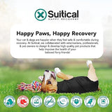 Suitical Recovery Suit for Dogs - Dog Surgery Recovery Suit with Clip-Up System - Breathable Fabric for Spay, Neuter, Skin Conditions, Incontinence - XS Dog Suit, Black