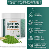 Organic Barley Grass Juice Powder– Utah Grown Raw Green Juice & Barley Grass Juice Extract for Detox- Complements Wheatgrass Juice- Made in USA to EverRaw® Standards with BioActive Dehydration™- 8 oz