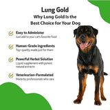 Pet Wellbeing Lung Gold for Dogs - Vet-Formulated - Lung & Respiratory Immune Support, Open Airways, Easy Breathing - Natural Herbal Supplement 2 oz (59 ml)