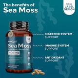 NutraCreek Sea Moss | Irish Sea Moss Capsules with Bladderwrack, Burdock Root & BioPerine for Absorption. Prebiotic & Immune Support | 90 Days Supply of Bladderwrack and Sea Moss Pills - 180 Capsules