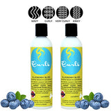 Curls Blueberry Bliss Reparative Leave In Conditioner, 8 Fl Oz (Pack of 2)