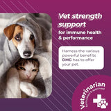 VetriScience Vetri DMG Liquid Drop - 114ml Bottle - Immune Support Supplements for Dogs and Cats