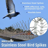 Bird-X Deterrent Steel Spikes, Bird Control, 5-inch W, 100 ft Long (STS-100)
