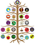 Advent Jesse Tree Devotional Flexible Magnet Set with Explanation Story Card, 10 1/2 Inch