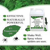 Puremint Spider Repellent, Natural 5% Peppermint Oil Spray, Kills & Deters All Types of Spiders and Insects, Indoor and Outdoor Use, 16 fl oz Pint