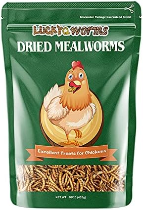 High-Protein Dried Mealworms 1Lb for Birds, Chickens, Turtles, Fish, Hamsters and Hedgehogs, Non-GMO and Chemical Free, All Natural Animal Feed