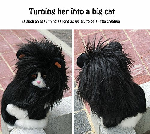 Onmygogo Lion Mane Wig for Cats, Funny Pet Cat Costumes for Halloween Christmas, Furry Pet Clothing Accessories (Size M, Black)