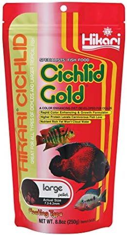 Hikari 8.8-Ounce Cichlid Gold Floating Pellets for Pets, Large