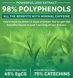 Green Tea Extract Capsules 98% with EGCG - 120 Count (Non-GMO) for Natural Metabolism Boost - Leaf Polyphenol Catechins - Antioxidant Supplement - Green Tea Pills - 1000mg (500mg per Capsule)