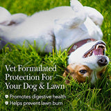 Nutri-Vet Grass Guard Chewables For Dogs - Prevent Lawn Burn From Dog Urine - 365 Count