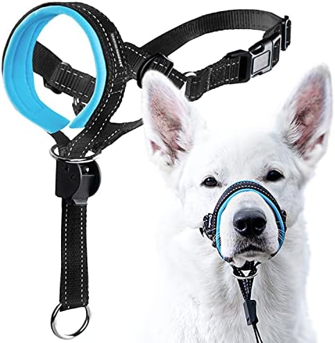 GoodBoy Dog Head Halter with Safety Strap - Stops Heavy Pulling On The Leash - Padded Headcollar for Small Medium and Large Dog Sizes - Head Collar Training Guide Included (Size 1, Blue)