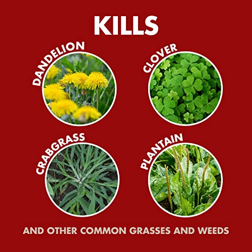 Spectracide Weed And Grass Killer Concentrate 1 Gallon, Use On Patios, Walkways And Driveways