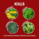 Spectracide Weed And Grass Killer Concentrate 1 Gallon, Use On Patios, Walkways And Driveways