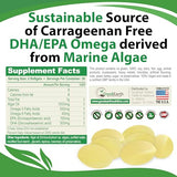 Vegan Omega 3 - Carrageenan Free Plant Based Algal DHA/EPA- 60 Veggie Softgels - Supports Brain, Heart, Joints & Prenatal Health - Essential Fatty Acids Supplements