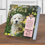 TF PUBLISHING 2024 Dog A Day Daily Desktop Calendar | Home and Office Organization | Over 300 Full-Color Easy Tear-Off Pages | Attached Fold-Out Cardboard Easel for Desks | 5.25” x 5.25”