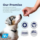 Vetnique Labs Profivex Probiotics for Dogs All Natural Dog Chews & Powder for Digestive Health Probiotic Supplements for Dogs 5 Strains of Probiotics & Prebiotics (Soft Chews, 30ct)