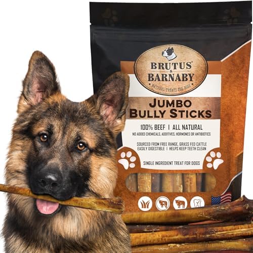 BRUTUS & BARNABY Jumbo Bully Sticks for Large Dogs - (10-Pack) No Hormones Added and Grain Free, Low Odor Bullie, Large, Thick, 12" Bully Bones for Dogs or Puppies