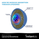 Liposomal Glutathione - Highly Advanced Antioxidant, Reduced Setria Glutathione, 500MG per Serving Liquid Supplement Organic, 30 Servings