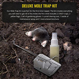 Cinch Mole Trap Deluxe Kit - Medium (2 Packs), Heavy Duty, Reusable Rodent Trapping System, Rust & Weather Resistant, Outdoor Use - for Sports Fields, Yards & More - Personal & Professional-Grade Use