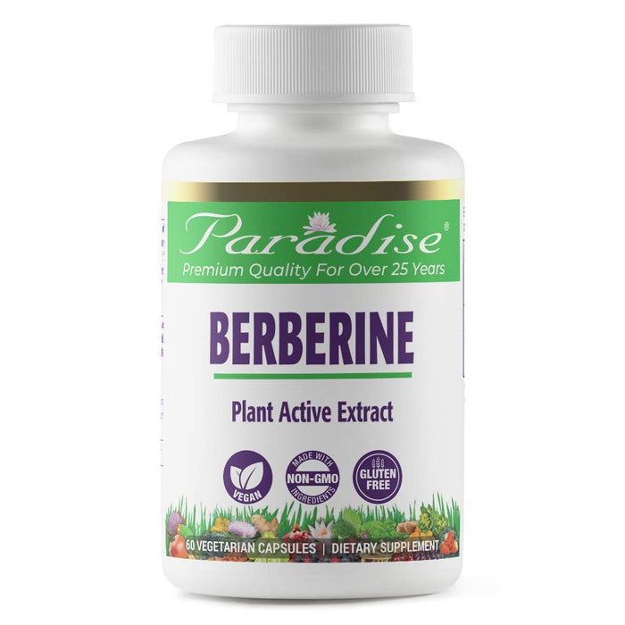 Paradise Herbs, Berberine Extract, 500 mg, Pure & Potent Berberine Supplement, Vegan, Non GMO, Gluten Free, 60