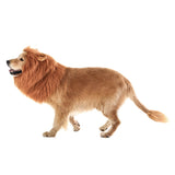 TOMSENN Realistic & Funny Lion Mane for Dogs - Complementary Lion Mane for Dog Costumes for Medium to Large Sized Dogs