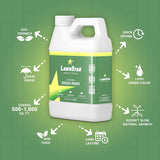 Grass Paint Concentrate (500-1,000 sq ft) - for Dormant, Patchy or Faded Lawn - Lush Green Turf Colorant (32 fl oz)