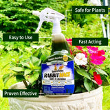 Nature’s MACE Rabbit Repellent 40oz Spray/Covers 1,400 Sq. Ft. / Rabbit Repellent and Deterrent/Keep Rabbits Out of Your Lawn and Garden/Safe to use Around Children & Plants