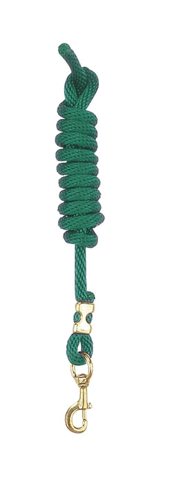 Perri's Poly Nylon Lead with Snap, Hunter Green, 8-Feet