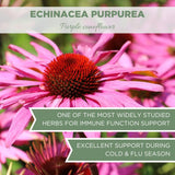 Organic Echinacea Purpurea 4 oz. (113g), USDA Certified Organic Dried Echinacea Tea, Premium Echinacea Herb, Loose Purpurea, Purple Coneflower, Cut & Sifted