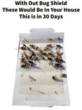 Bug Shield Sticky Glue Traps 36 Glue Boards, All Types of Incets, Spiders, Cockroaches, Ants, Cave Crickets, and More.Professional Strength Glue.