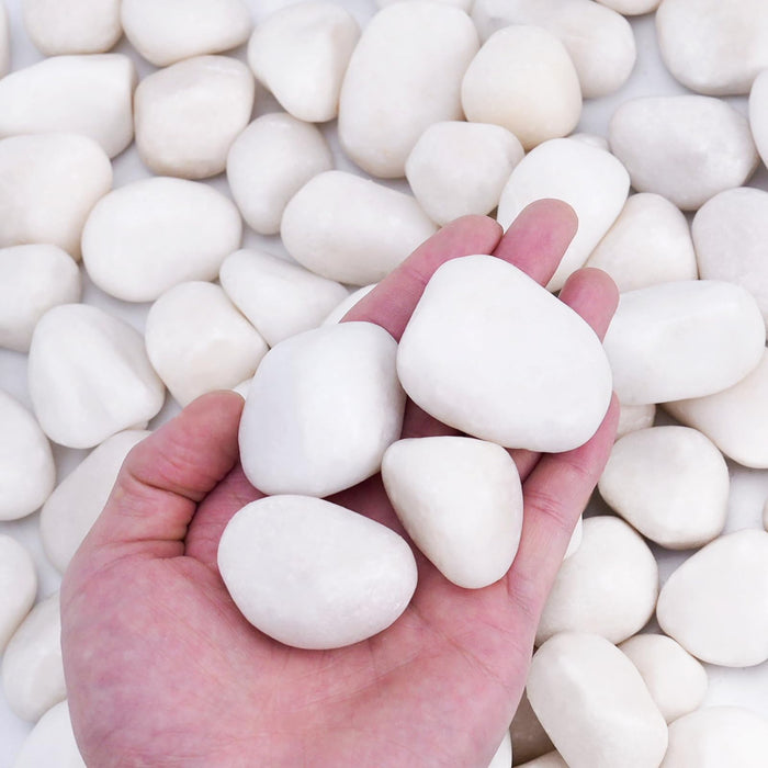 Pulovin 15 lbs White Rocks for Landscaping, 1-2 inch Large White Rocks for Plants, Decorative Polished Stones for Garden, Walkways, Yard, Plants Pots, Vases, Crafts