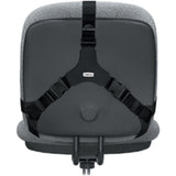 Fellowes Professional Series Back Support, Black (8037601)