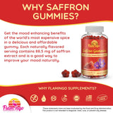 Saffron Extract Gummies-Sugar Free Saffron Supplement 88mg Enhanced with GABA, Saint John's Wort, Passion Flower- Saffron Supplements for Kids, Women, Men. Focus and Mood Support. 60 Saffron Gummies