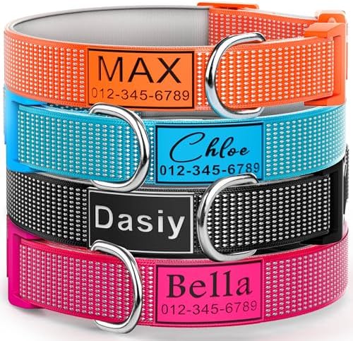 Deeply Engraved Personalized Dog Collar with Silicone Name Plate and Durable Buckle, Fully Reflective, Soft Neoprene Padded - Suitable for Small, Medium, and Large Dogs & Cats