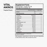 Momentous Vital Aminos Powder Supplement, BCAA & EAA, Tropical Punch, 30 Servings