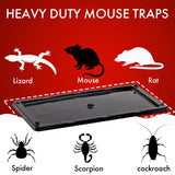 Trapsters USA Mouse & Rat Plastic Glue Traps (10CT) - 5x10 Inches, Pre-Baited, Non-Toxic, Pet-Safe Adhesive Plastic Boards for Home & Office - Indoor Pest Control for Mice (Peanut Scented)