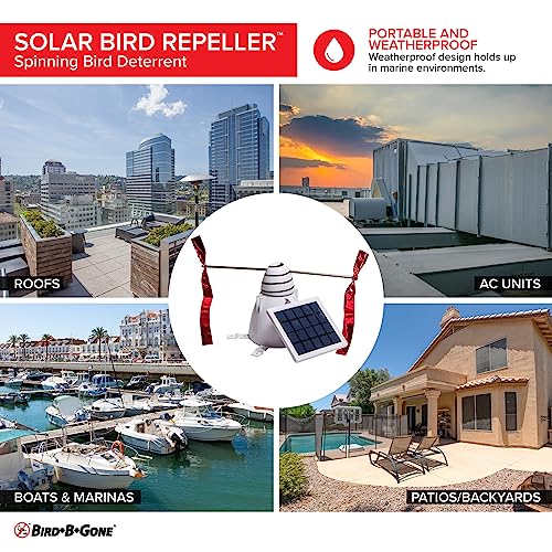 Bird B Gone - Solar Bird Repeller - Spinning Bird Deterrent with Telescoping Arms - Prevents Birds from Landing - Humane Repellent - Portable Design - for Boats, Patios, AC Units, Etc - Solar Powered