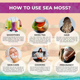 Irish Sea Moss Gel Organic Raw - Wildcrafted Superfood Seamoss Gel - Elderberry Flavor, Vitamin and Mineral-Rich from Pristine Caribbean Waters, Immune and Digestive Health Support - 10 oz.