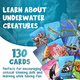 Genius Games Ecosystem: Coral Reef - A Mensa Recommended Family Card Game About Aquatic Animals, Their Habitats & Food Chain | A Light Educational Marine Biology Board Game for Kids and Families