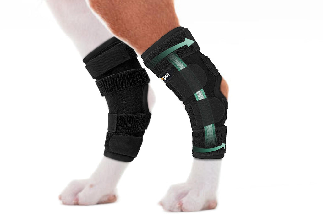 Lyderpet Dog Leg Brace for Rear Hock & Ankle, Canine Hind Leg Joint Compression Wrap for Torn ACL & CCL, Back Leg Injury and Sprain Protection, Helps with Elderly Dogs Activies and Arthritis (L)