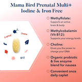 Best Nest Wellness Mama Bird Iron Free Prenatal Vitamins - No Iodine Pre Natal Multivitamin for Women, Vegan Prenatal Vitamins without Iron, Methylfolate (Folic Acid) Once Daily with Gift Bag, 30Ct