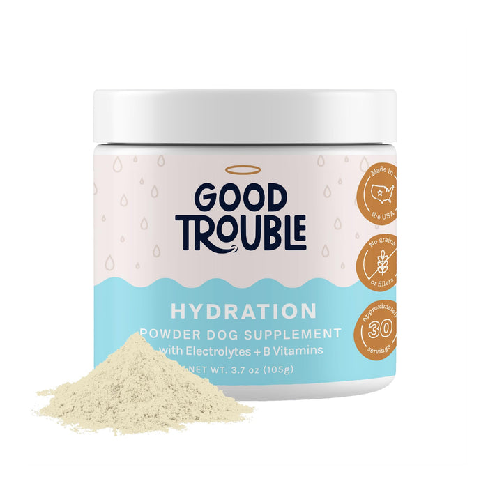 Dog Hydration and Recovery Powder by Good Trouble Pets - Premium Electrolytes for Dogs with Vitamins, Supports Muscle Recovery and Rebound for Dogs, Puppy Vitamins and Supplements (3.7 oz, Beef)