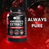 Pure Original Ingredients Pomegranate Extract No Magnesium Or Rice Fillers, Always Pure, Lab Verified (365 Capsules)