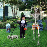 Lodou 5.4Ft Posable Life Size Human Adult Skeletons Plastic Human Bones with Movable Joints for Halloween Decoration