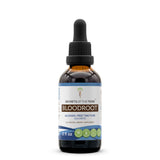 Secrets of the Tribe Bloodroot Tincture Alcohol-Free Extract, Responsibly farmed Bloodroot (Sanguinaria Canadensis) Dried Root Tincture Supplement (2 FL OZ)