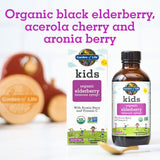 Garden of Life Organic Sambucas Elderberry Syrup for Kids Plus Aronia Berry & Acerola Cherry with Vitamin C for Immune Support, Sugar Free, Liquid, 3.9 Fl Oz